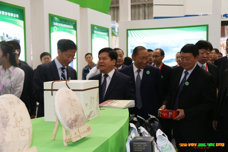 圖片其版權均歸原作者所有，未經許可嚴禁轉載或建立鏡像，如需轉載，請與作者或本站聯系