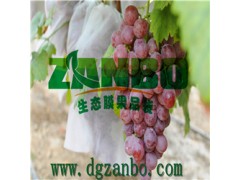 葡萄套袋圖1