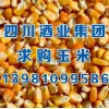四川酒業(yè)集團(tuán)求購玉米高粱小麥