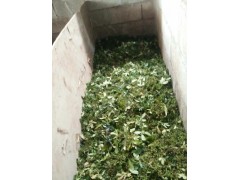 麗江花椒種植技術_麗江花椒供應商家_麗江花椒批發戶圖2