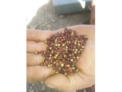 麗江花椒價格\新麗江花椒銷售信息圖2