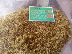 【云南文山硯山名貴中藥材信息087164155848】圖1