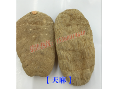 2016云南天麻批發銷售信息價格
