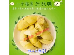 第一代嫁接貓山王榴蓮_潤豐水果商行圖1