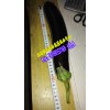紅河玉米代辦服務商*紅河黑提代辦商家&紅河菜豆供應%