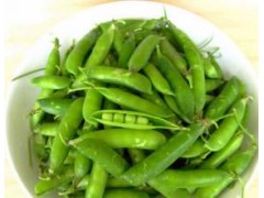 長壽仁豌豆哪里有銷售?種子銷售價格多少錢一斤圖3