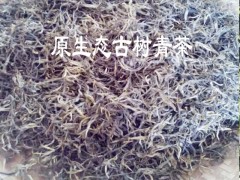 保山單株生散茶批發(fā)#古茶樹批發(fā)生采購價格圖2