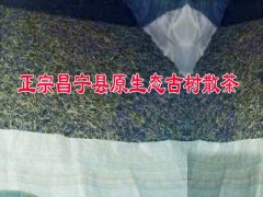 單棵原生態昌寧古樹茶曬青圖片圖1