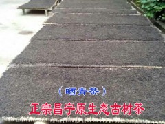 單棵原生態昌寧古樹茶曬青圖片圖2