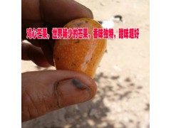 云南雞心芒果/世界稀少的芒果，香味獨(dú)特，甜味超好圖3
