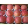 今日紅富士蘋(píng)果批發(fā)價(jià)格紅富士新行情分析