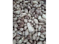 麗江馬鈴薯農戶*馬鈴薯麗薯6號\麗薯7號大量銷售供應圖3
