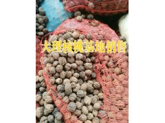 大理核桃低價(jià)*云南核桃仁銷售*漾濞核桃仁圖3