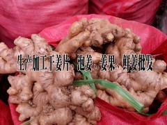 哪里的干姜片便宜|哪里生  產加工干姜片*屏邊泡姜生產商*出口干姜圖3