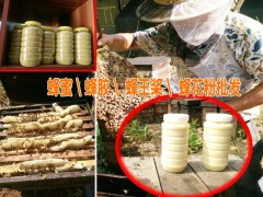 天然蜂膠多少錢|今年蜂膠的價格|今日蜂蜜行情價格宣威蜜蜂養殖圖2