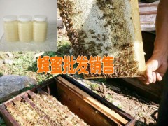 天然蜂膠多少錢|今年蜂膠的價格|今日蜂蜜行情價格宣威蜜蜂養殖圖3