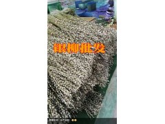 銀柳批發(fā)價(jià)格@今日銀柳昆明批發(fā)市場報(bào)價(jià)表_銀柳供求信息圖2
