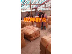 銀柳批發(fā)價(jià)格@今日銀柳昆明批發(fā)市場報(bào)價(jià)表_銀柳供求信息圖3