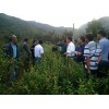 認定為全省種植育苗示范基地_會澤高老莊農業莊園有限公司