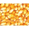 襄陽(yáng)傲農(nóng)飼料常年求購(gòu)玉米碎米油糠麩皮菜粕菜餅等飼料原料