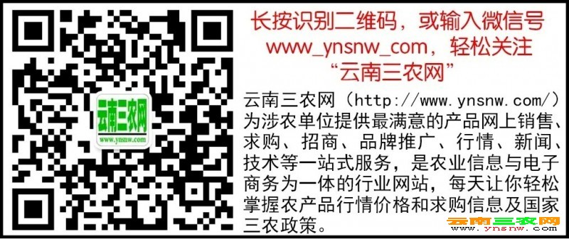 点击打开原图