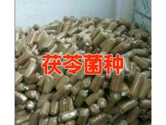 今年魔芋種子價格&魔芋種子銷售&新魔芋加工廠聯(lián)系方式圖3