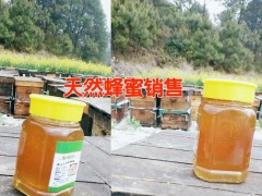 云南蜂蜜批發&蜂蜜多少錢一斤&蜂蜜\蜂膠\ 蜂王槳\ 蜂花粉圖2