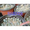 綠春/建水花卉苗木批發13708488656