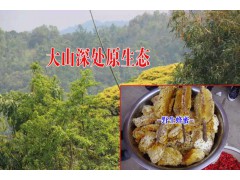 農戶自產的蜂蜜|云南農戶自產自銷的蜂蜜批發銷售信息圖2