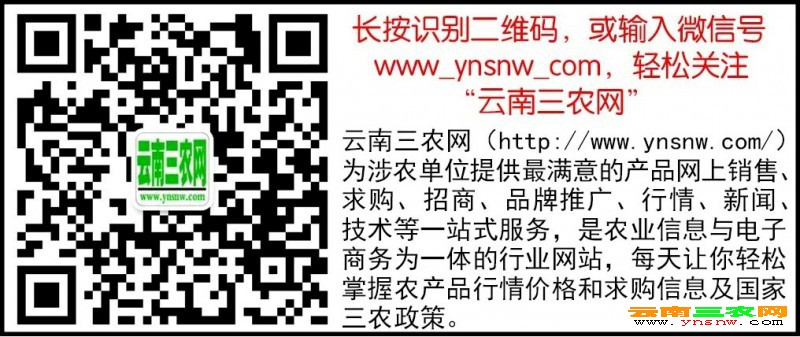 点击打开原图