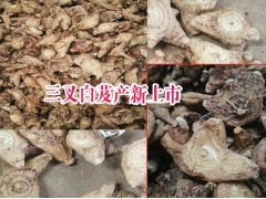 白芨價格是多少一斤#云南白及種植網絡圖2