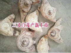 白芨價格是多少一斤#云南白及種植網絡圖3