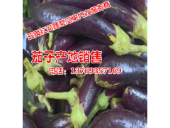 茄子供求信息\價(jià)格信息\行情分析等網(wǎng)上信息服務(wù)