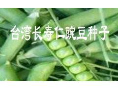 屏邊哪里有長(zhǎng)壽仁豌豆銷(xiāo)售?【長(zhǎng)壽仁豌豆】種子多少一斤?圖2