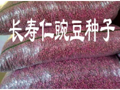 云南豌豆莢種子銷(xiāo)售價(jià)格087164155848圖3