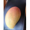 云南芒果產(chǎn)地多少錢一公斤？芒果品種（附圖）哪里多