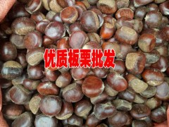 云南板栗價格◆云南核桃多少錢一斤◆云南核桃批發市場圖3