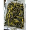 叉尾魚(yú)苗、丁桂魚(yú)魚(yú)苗、溝鯰魚(yú)苗6公分的什么價(jià)？