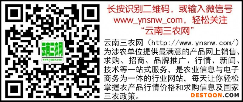 網(wǎng)站專用，二維碼