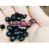 山豆根畝產(chǎn)利潤(rùn)是多少|(zhì)云南山豆根種子價(jià)格