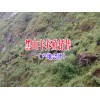 曲靖黑山羊出售：會澤火紅黑山羊合作社&黑山羊價格