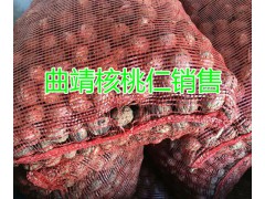 曲靖核桃、核桃仁現貨批發，含油量高價格美麗圖2