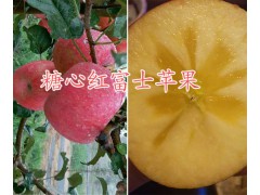 昆明周邊糖心紅富士蘋果批發商/曲靖糖心紅富士蘋果批發供應圖1