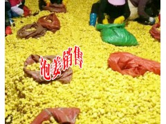 云南生姜片加工銷售，曲靖泡姜批發云南鮮姜，干姜片，文山州干姜片圖1
