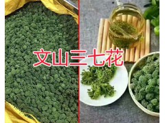 三七花在哪兒買便宜？文山三七花自銷-圖1