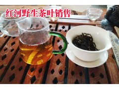 找古樹茶哪里多_云南紅河古樹茶生產地銷售信息_圖3