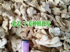 羅平生姜價格_云南羅平生姜交易市場_生姜銷售經營部圖3