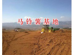 尋甸冬種馬鈴薯*云南馬鈴薯基地-昆明馬鈴薯批發商圖2