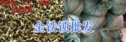 獨定子種子價格-云南獨定子種子銷售/機器篩選