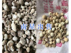 昆明中藥材供應：大天冬、天南星、龍膽草、茯苓塊_云南藥材圖3